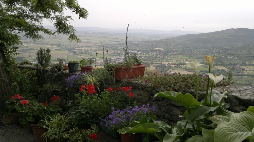Casa Mia A Cortonaアパートメント 部屋 写真